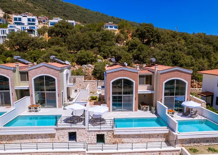 Terranova * Cukurbag